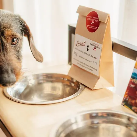 Harzresort * Schierke