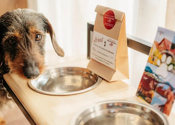 Harzresort * Schierke