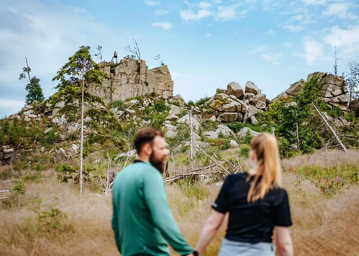 Дом отдыха Harzresort *